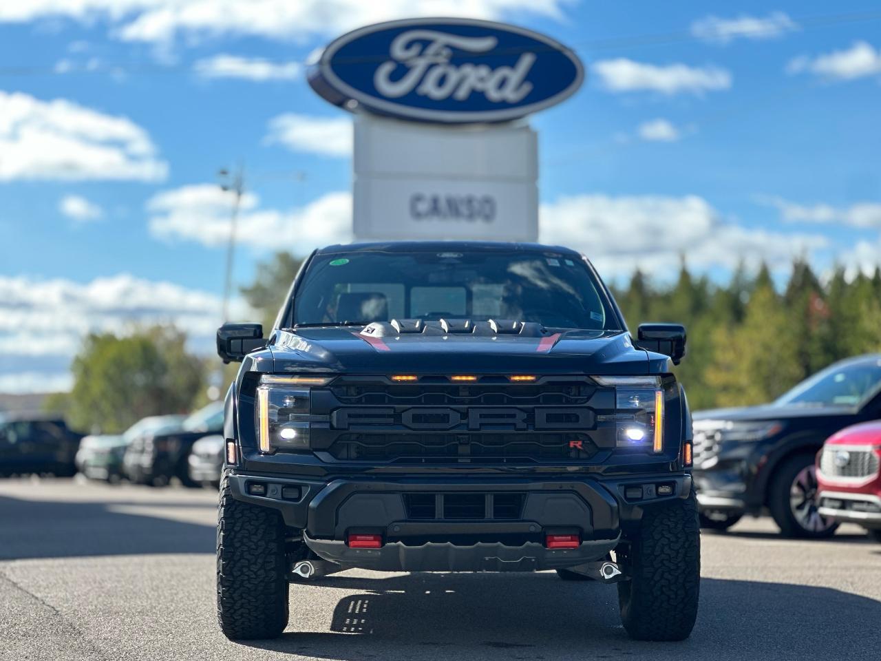 2025 Ford F-150 Raptor 4WD SuperCrew 5.5' Box Photo