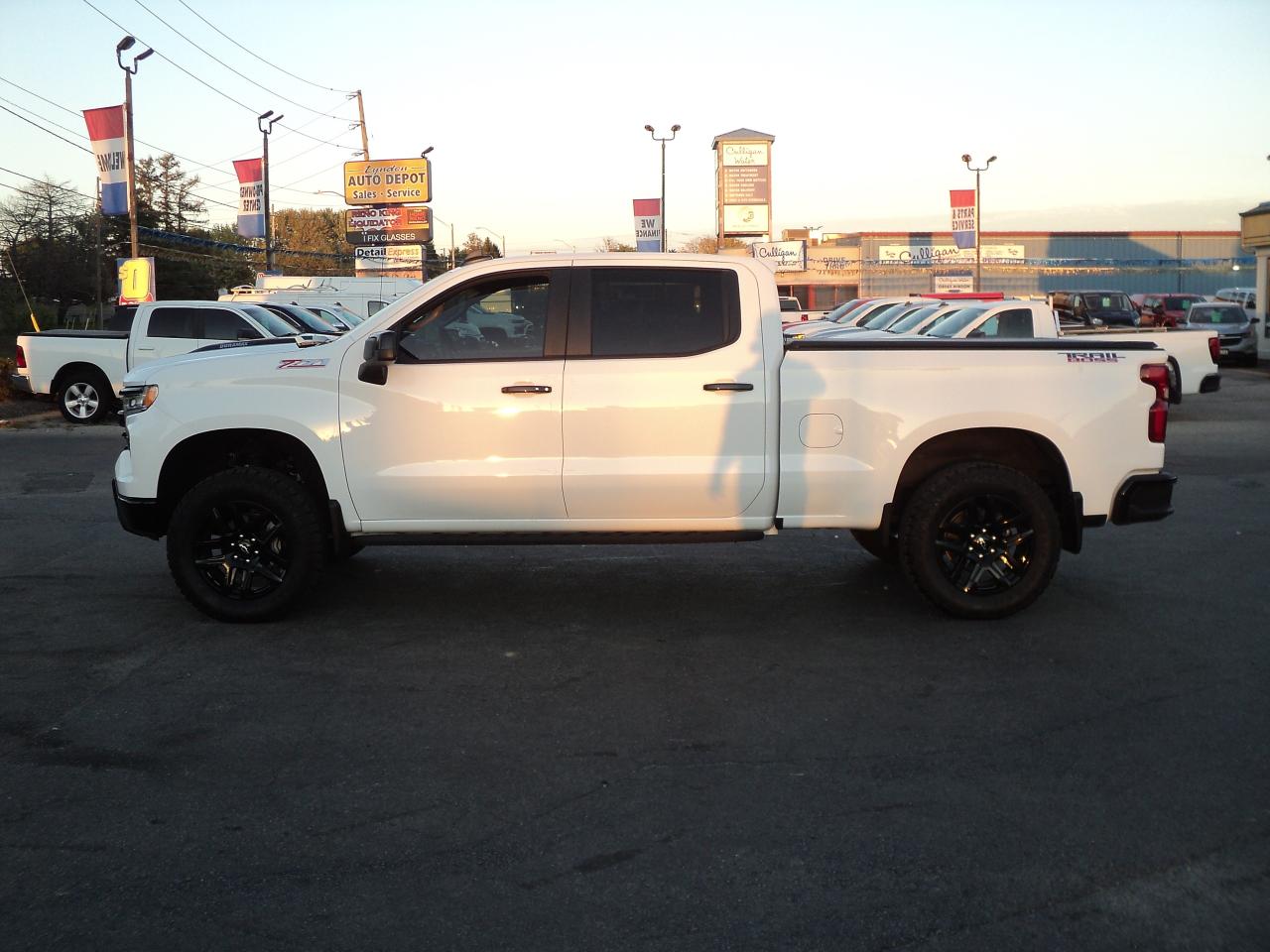 2025 Chevrolet Silverado 1500 LT TrailBoss CrewCab4x4Z71 3.0L6cylDiesel 6'7"Box - Photo #6