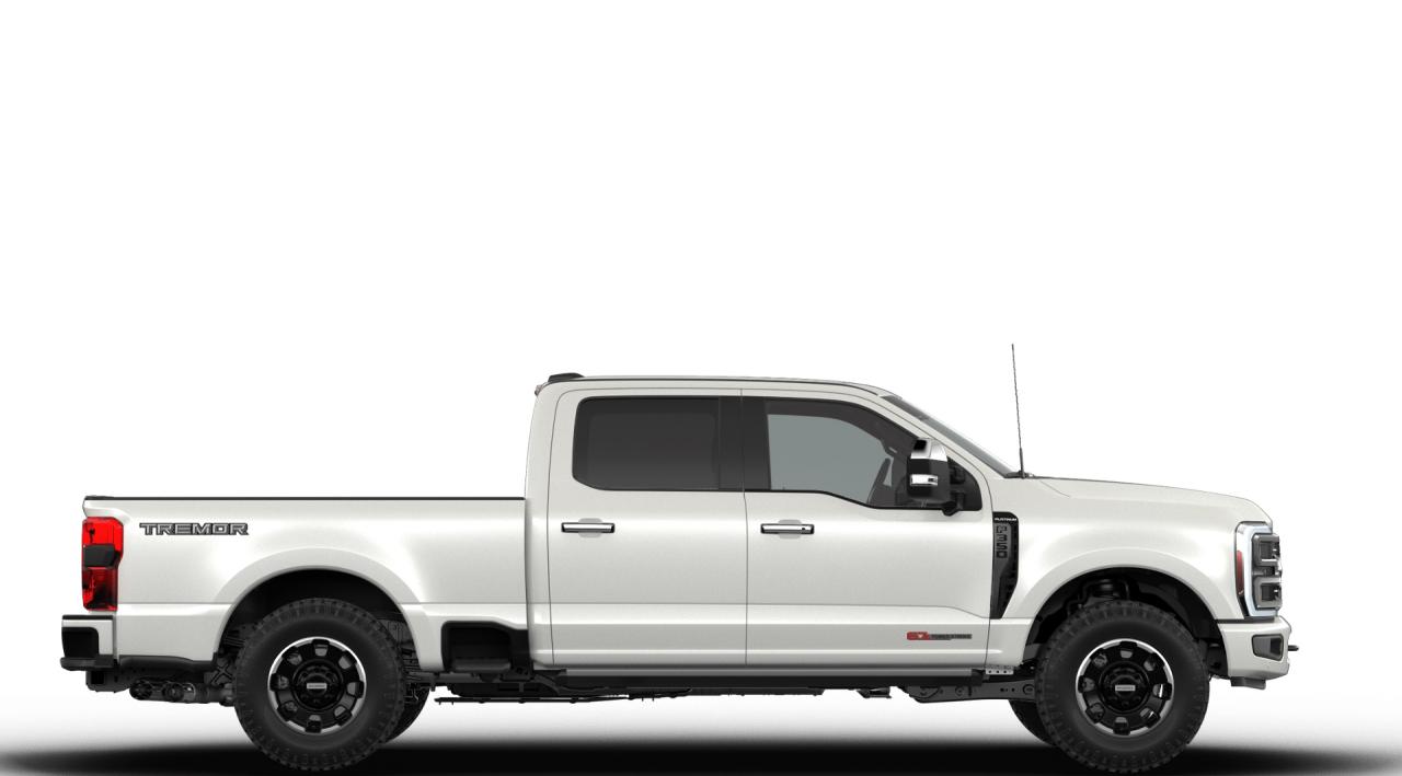 2026 Ford F-350 Super Duty SRW Platinum Photo5
