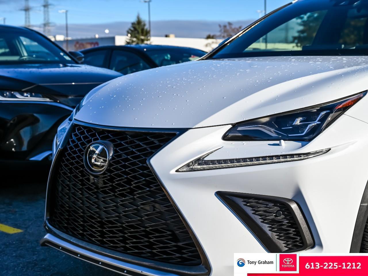 2021 Lexus NX 300 Photo