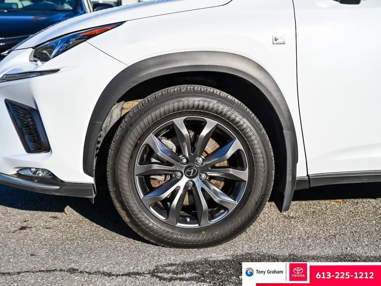 2021 Lexus NX 300 Photo