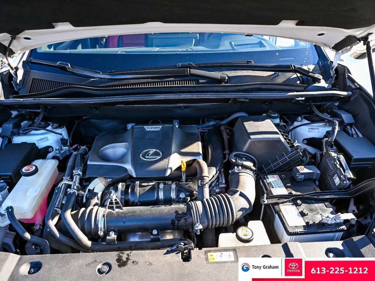 2021 Lexus NX 300 Photo