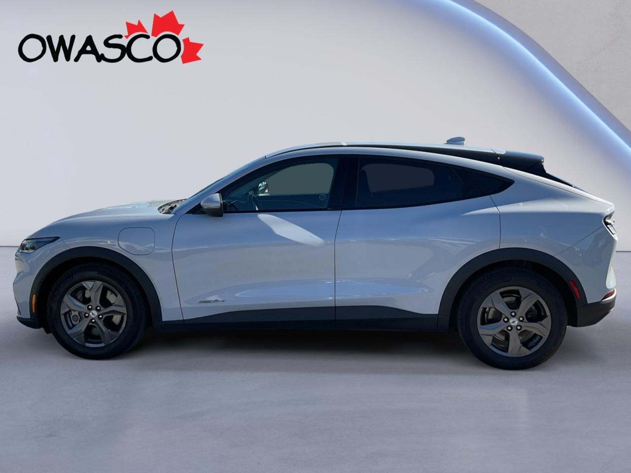 2022 Ford Mustang Mach-E Go Electric! Get There Fast and in Style! Photo2