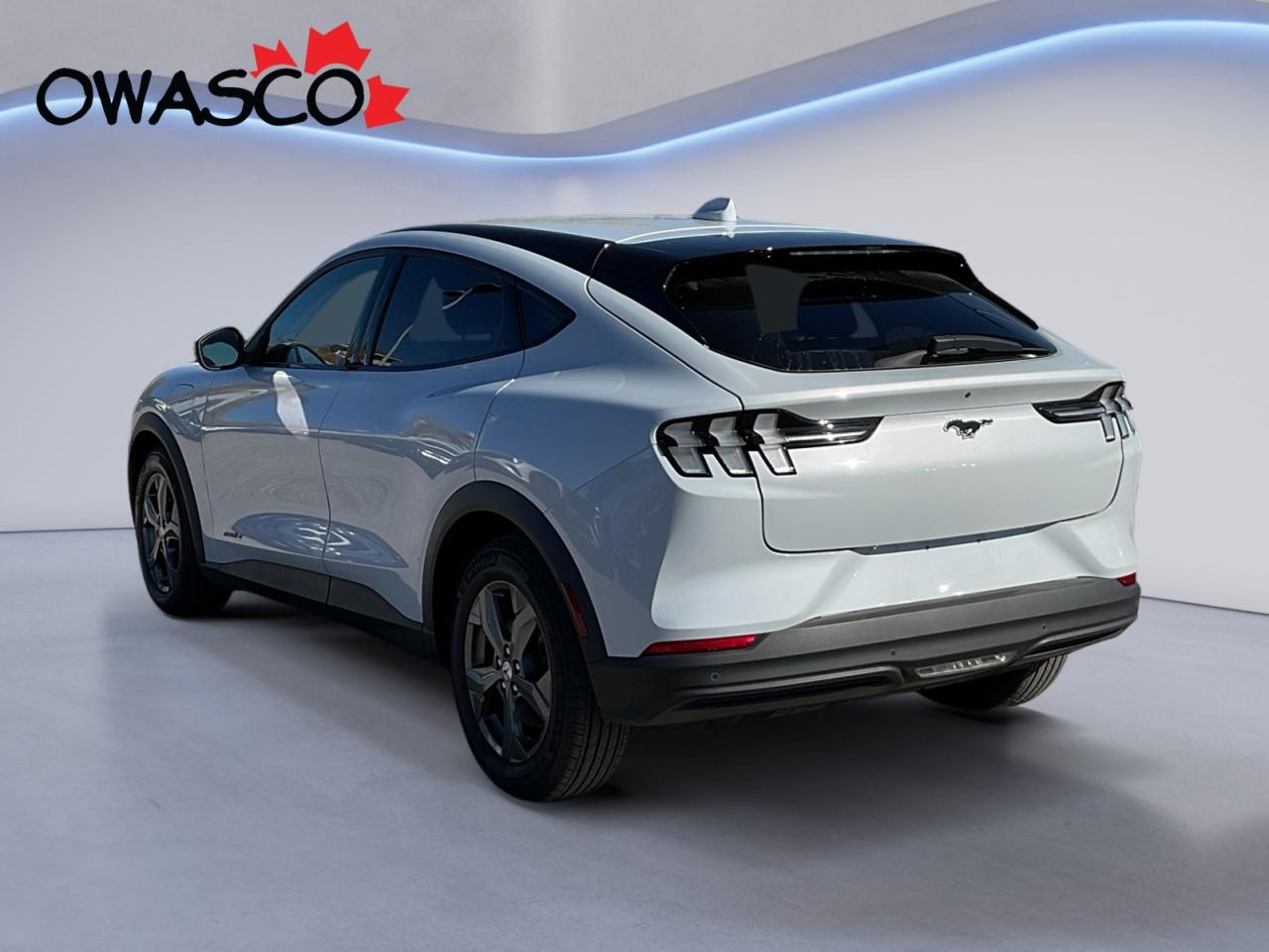 2022 Ford Mustang Mach-E Go Electric! Get There Fast and in Style! Photo3