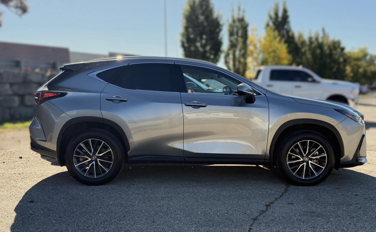 2025 Lexus NX NX 350 AWD | COOLED SEATS | SUNROOF | BLUETOOTH | Photo3