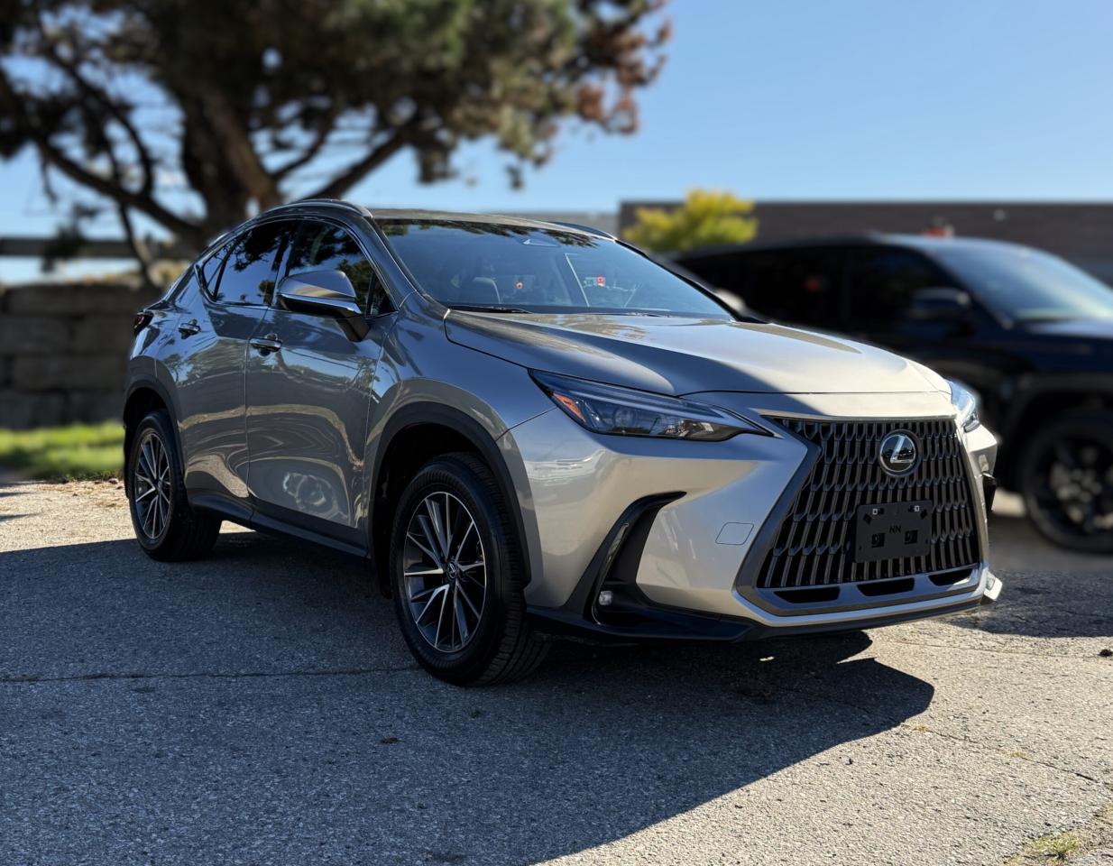 2025 Lexus NX NX 350 AWD | COOLED SEATS | SUNROOF | BLUETOOTH | Photo2