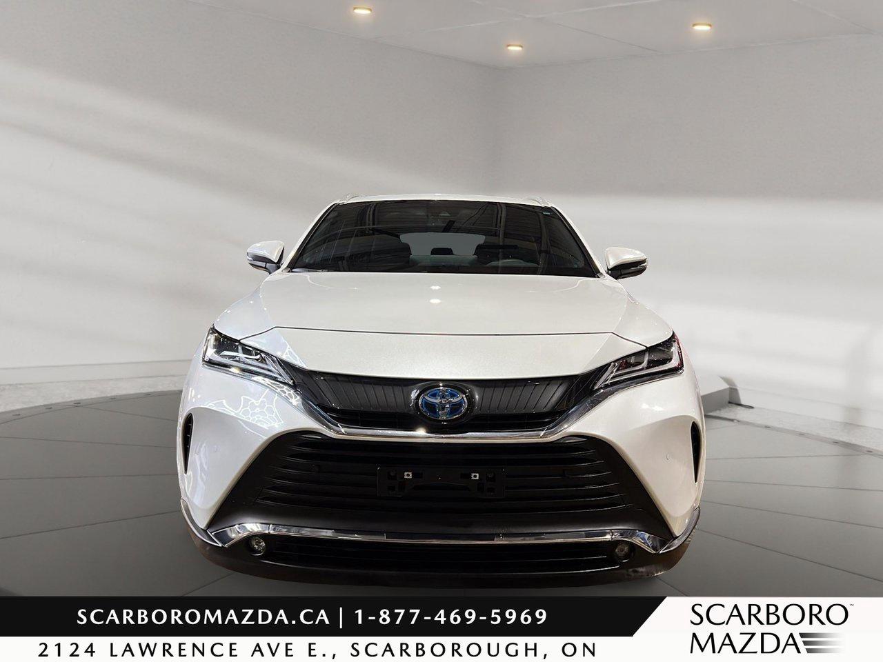 2024 Toyota Venza XLE Photo