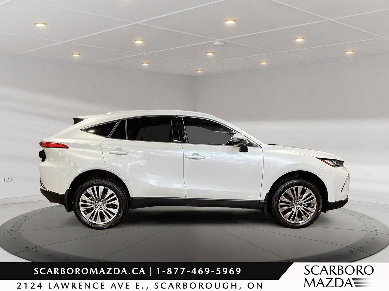 2024 Toyota Venza XLE Photo2