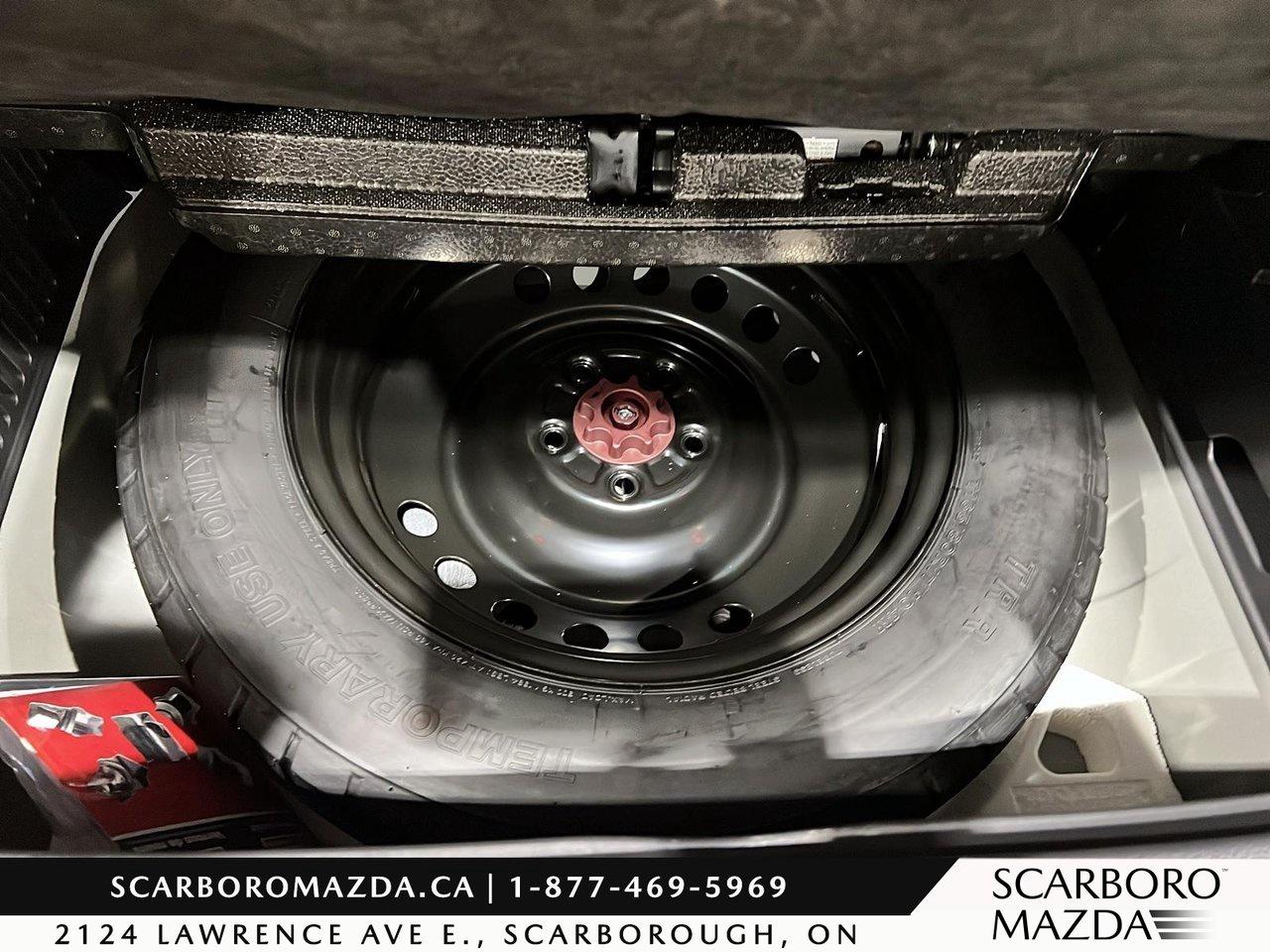 2024 Toyota Venza XLE Photo