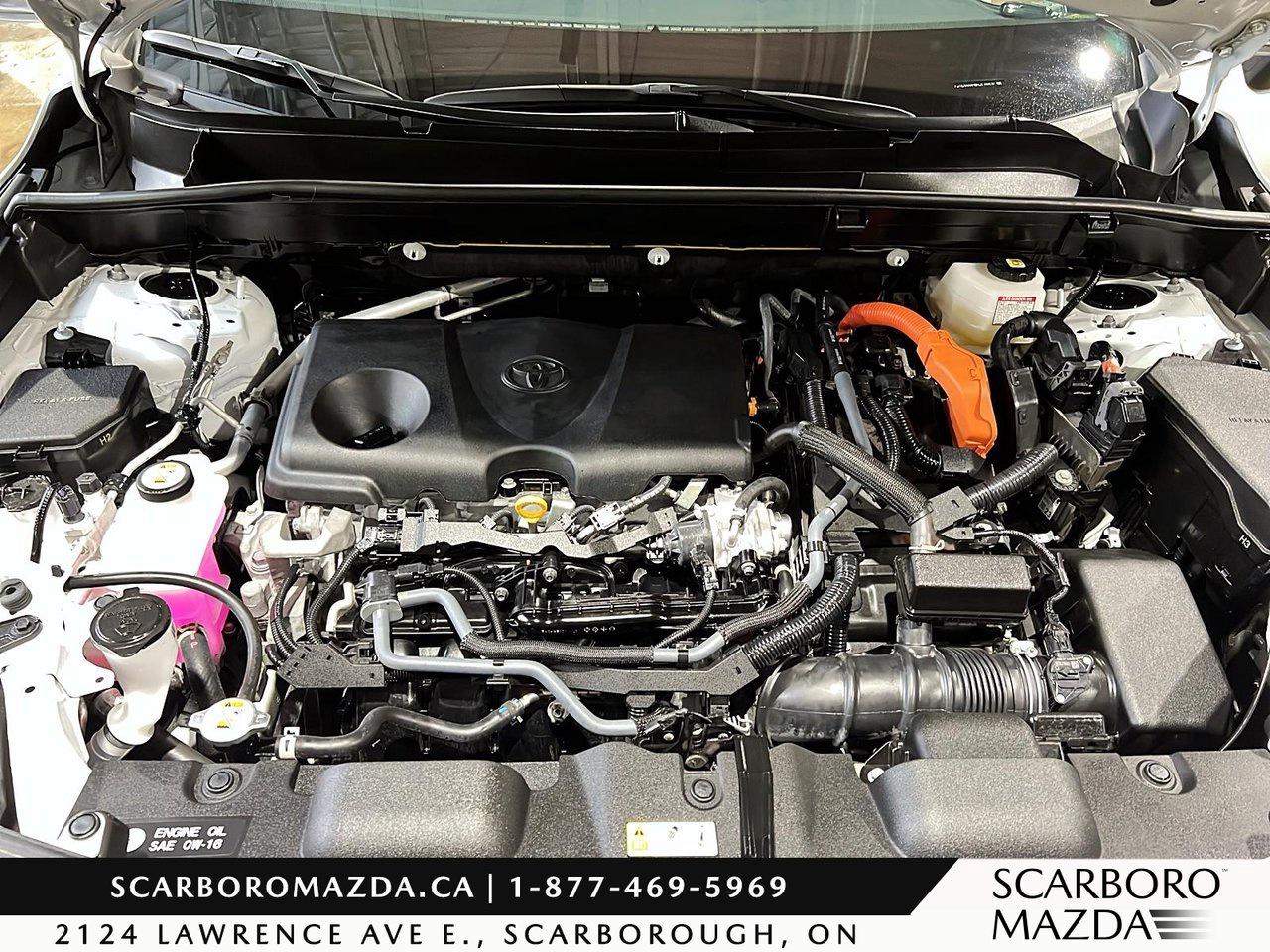 2024 Toyota Venza XLE Photo