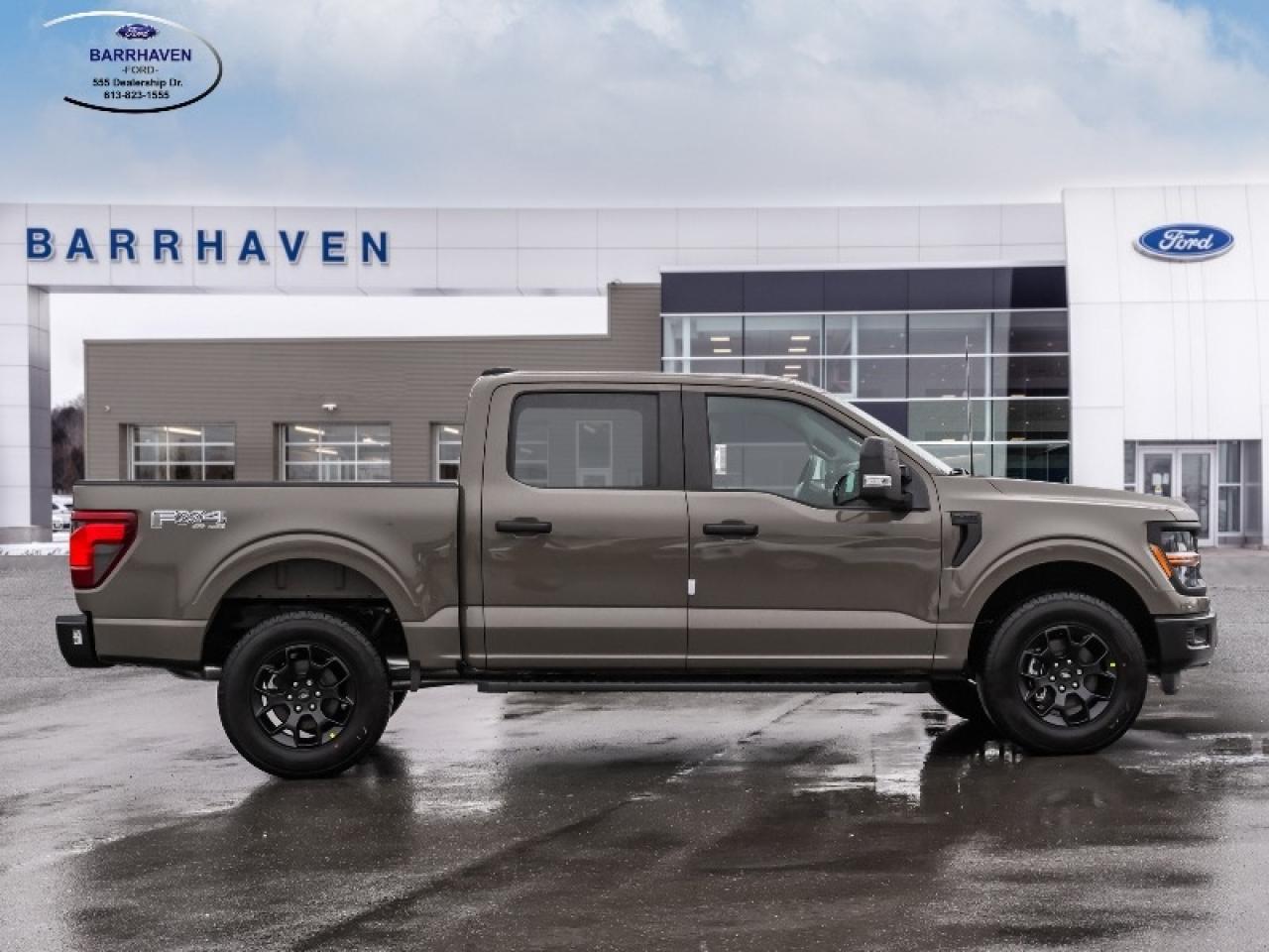 2025 Ford F-150 STX Photo