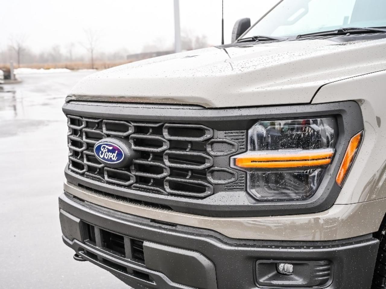 2025 Ford F-150 STX Photo