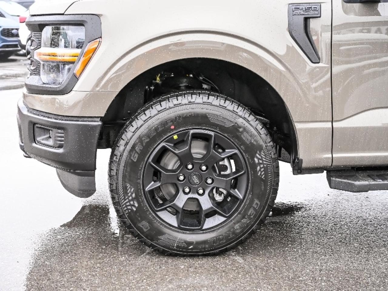 2025 Ford F-150 STX Photo