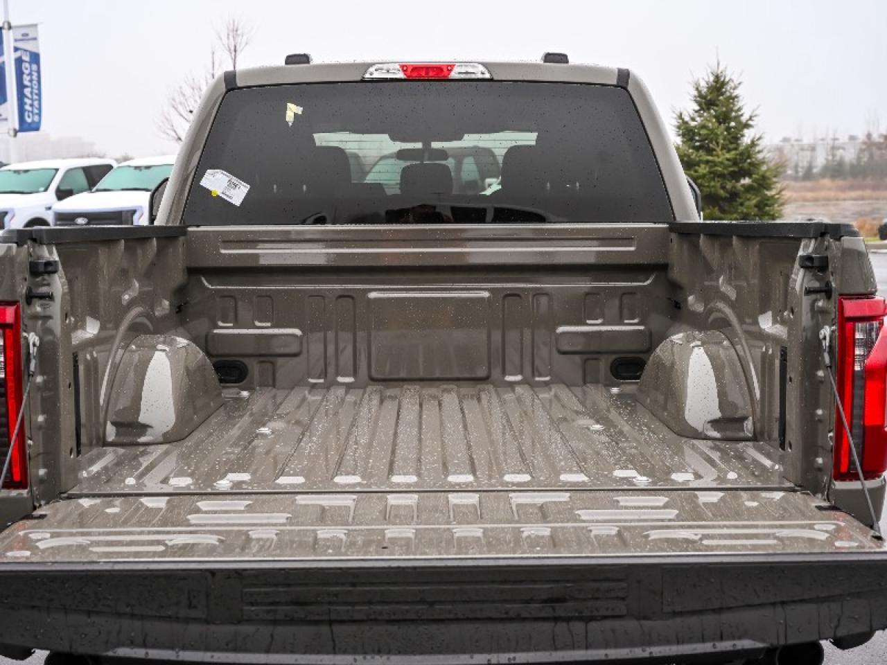 2025 Ford F-150 STX Photo