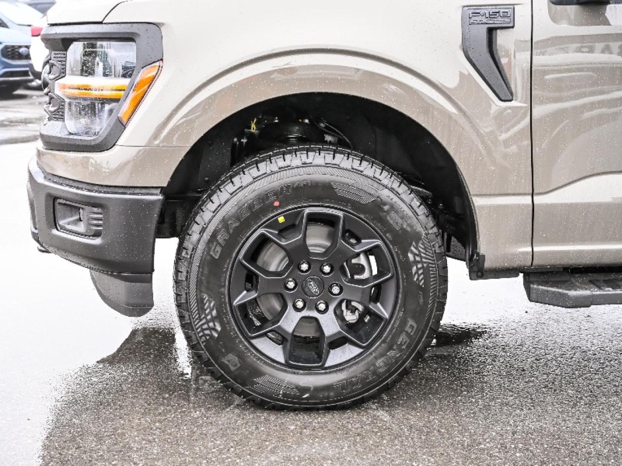 2025 Ford F-150 STX Photo