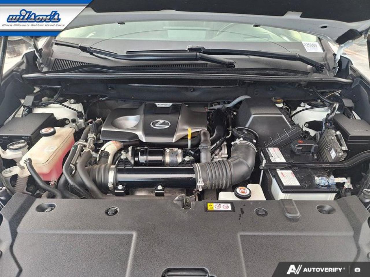 2021 Lexus NX NX 300 Leather | Sunroof | Nav | Mark Levinson Audio | Heated & Cooled Seats | and More ! Photo