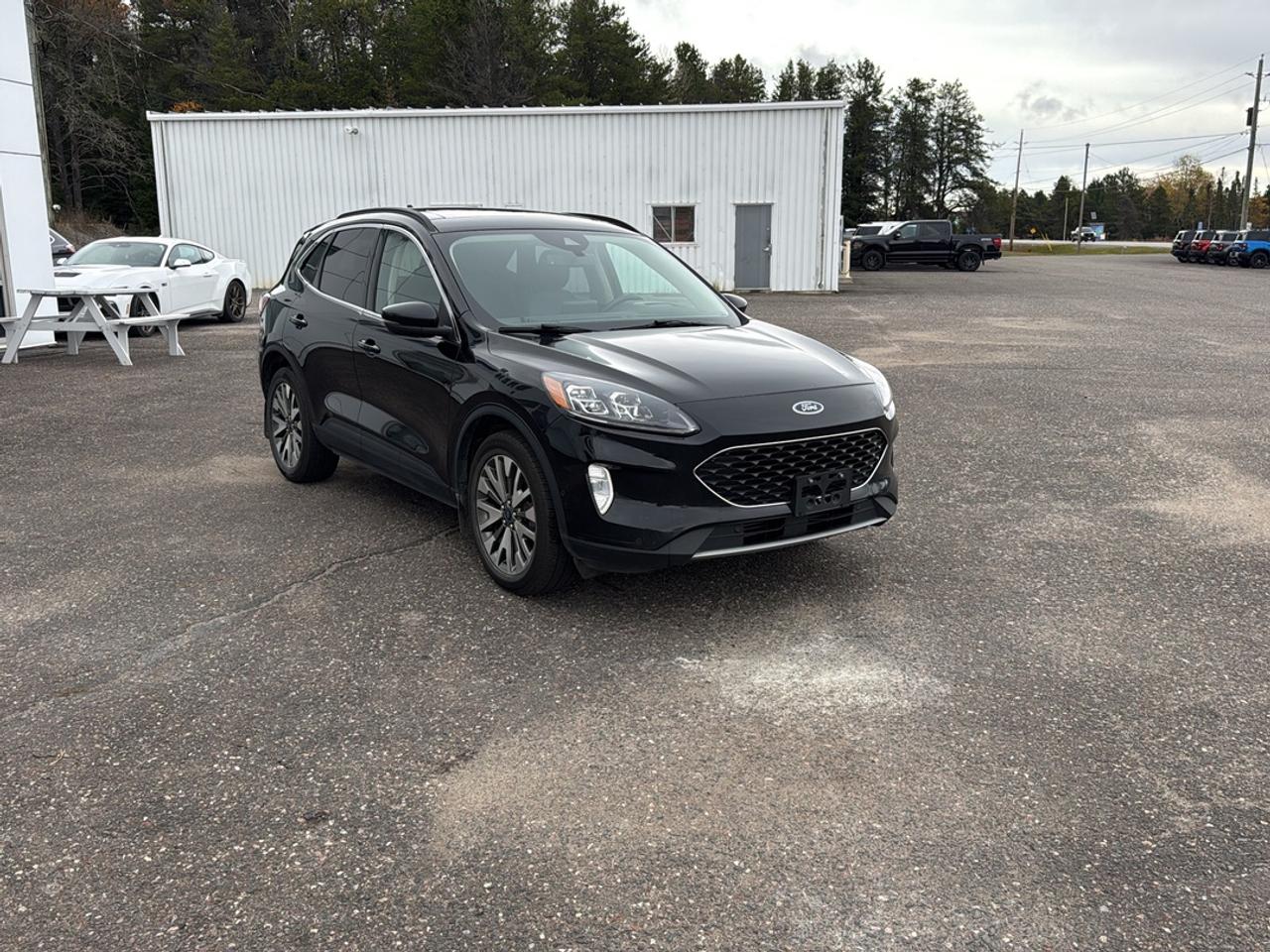 2020 Ford Escape Titanium Photo