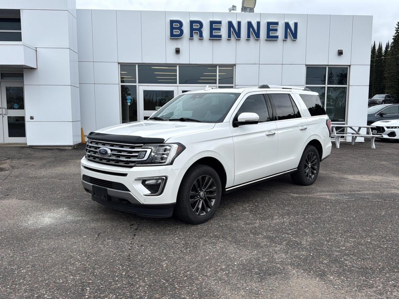 Used 2020 Ford Expedition Limited for sale in Nipigon, ON