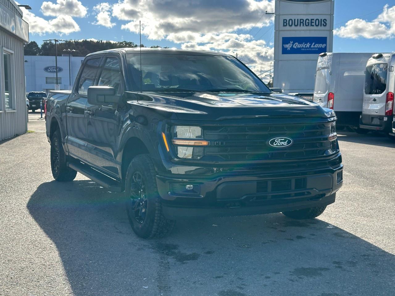 2025 Ford F-150 XLT 4WD SuperCrew 5.5' Box Photo