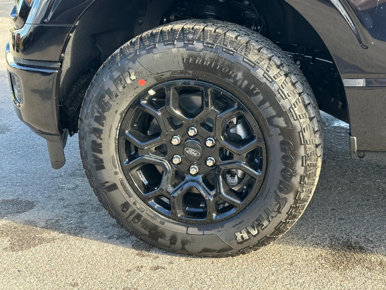 2025 Ford F-150 XLT 4WD SuperCrew 5.5' Box Photo