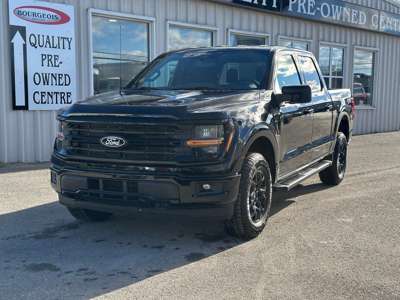 2025 Ford F-150 XLT 4WD SuperCrew 5.5' Box Photo