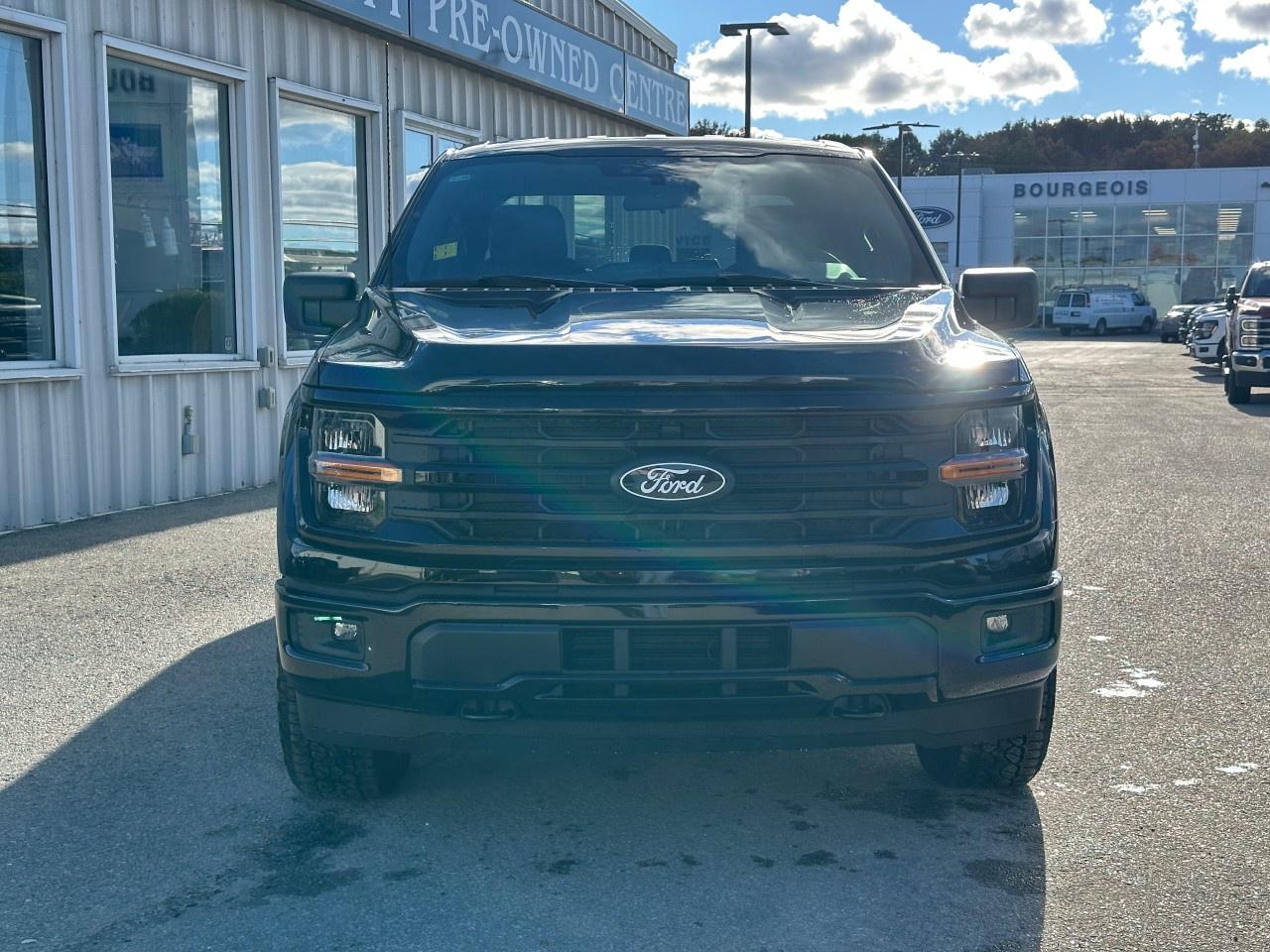 2025 Ford F-150 XLT 4WD SuperCrew 5.5' Box Photo2