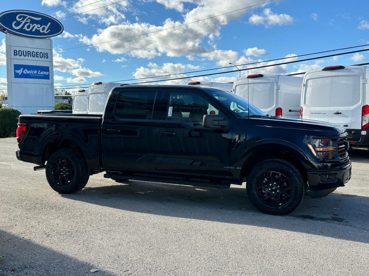 2025 Ford F-150 XLT 4WD SuperCrew 5.5' Box Photo4