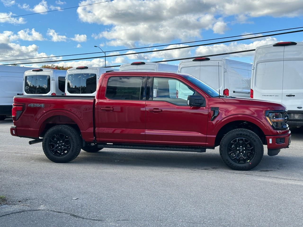 2025 Ford F-150 XLT 4WD SuperCrew 5.5' Box Photo4