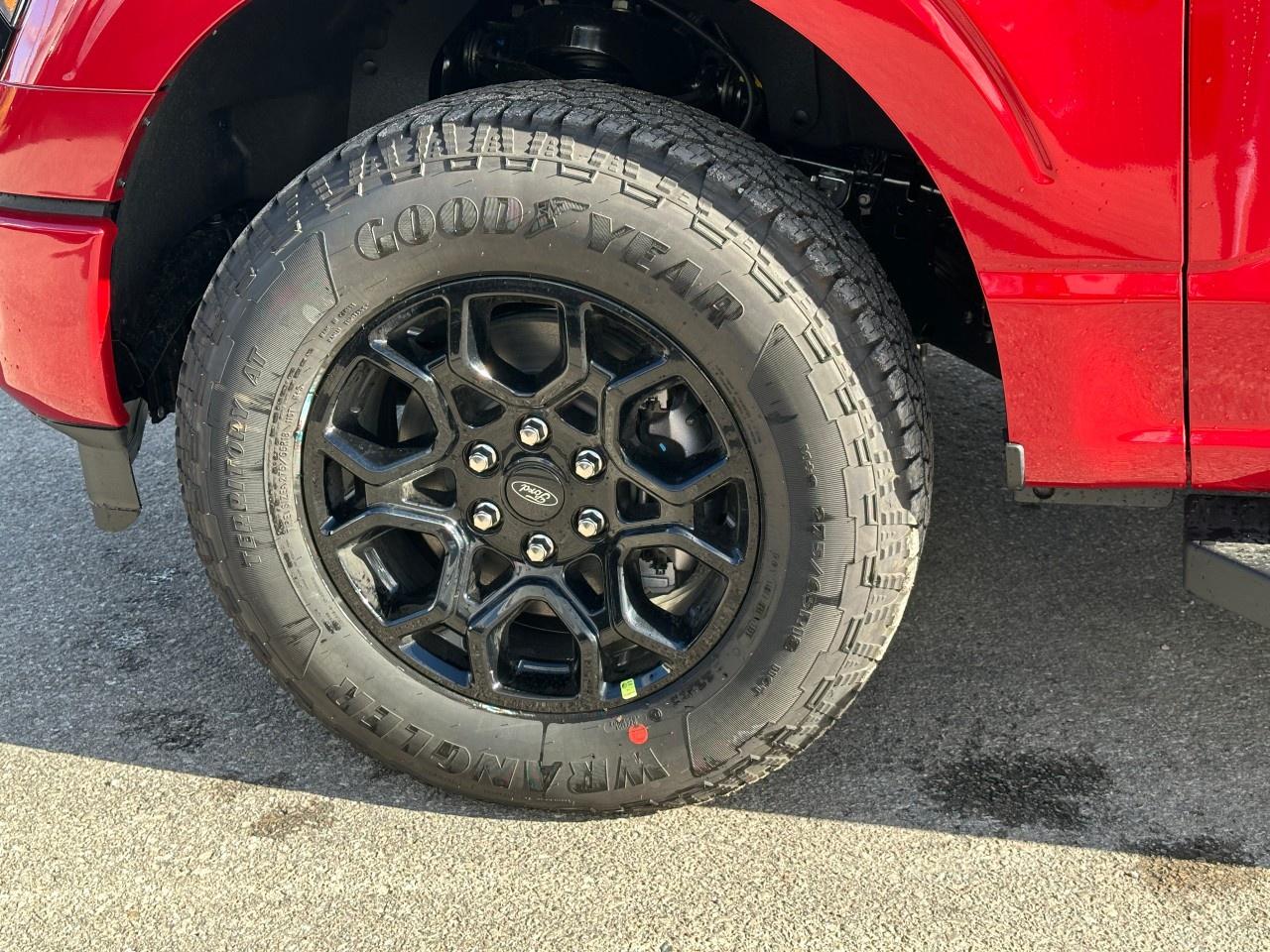 2025 Ford F-150 XLT 4WD SuperCrew 5.5' Box Photo