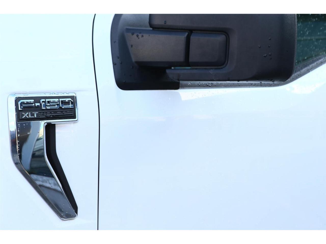 2023 Ford F-150 XLT SuperCrew 6.5-ft. 4WD Photo