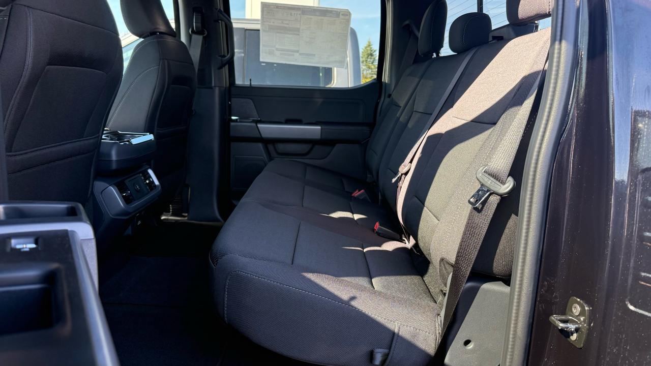 2025 Ford F-150 XLT Photo5