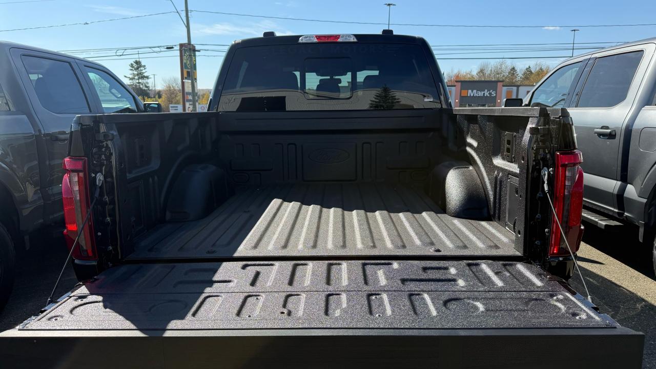 2025 Ford F-150 XLT Photo5