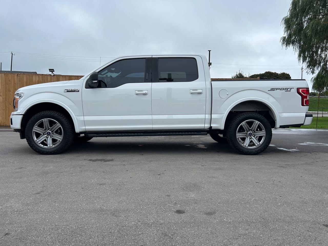 2019 Ford F-150 SPORT Photo