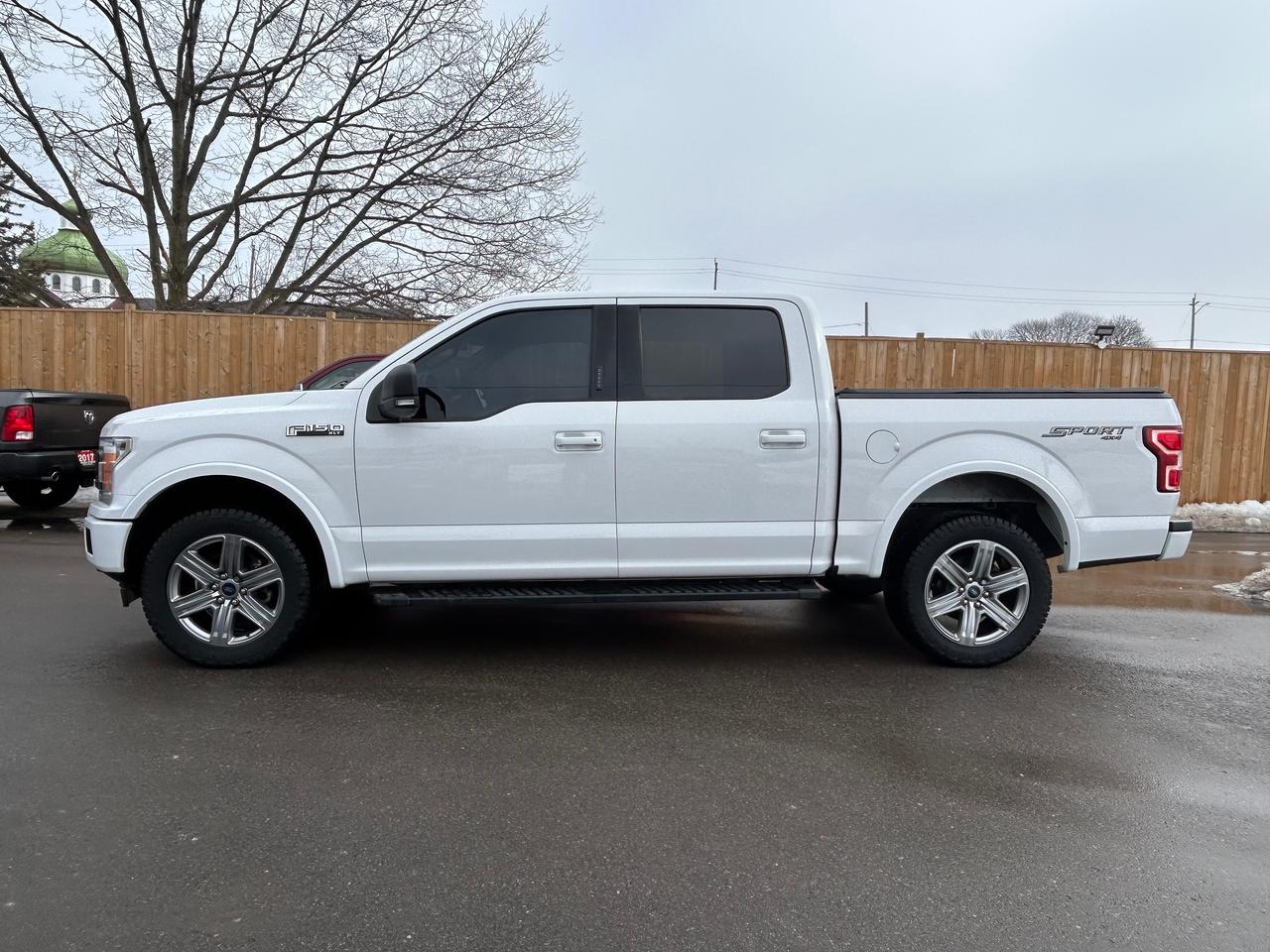 2019 Ford F-150 SPORT Photo