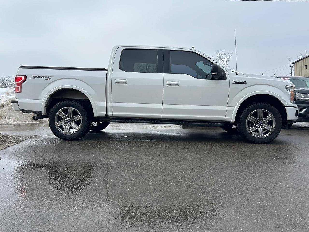 2019 Ford F-150 SPORT Photo