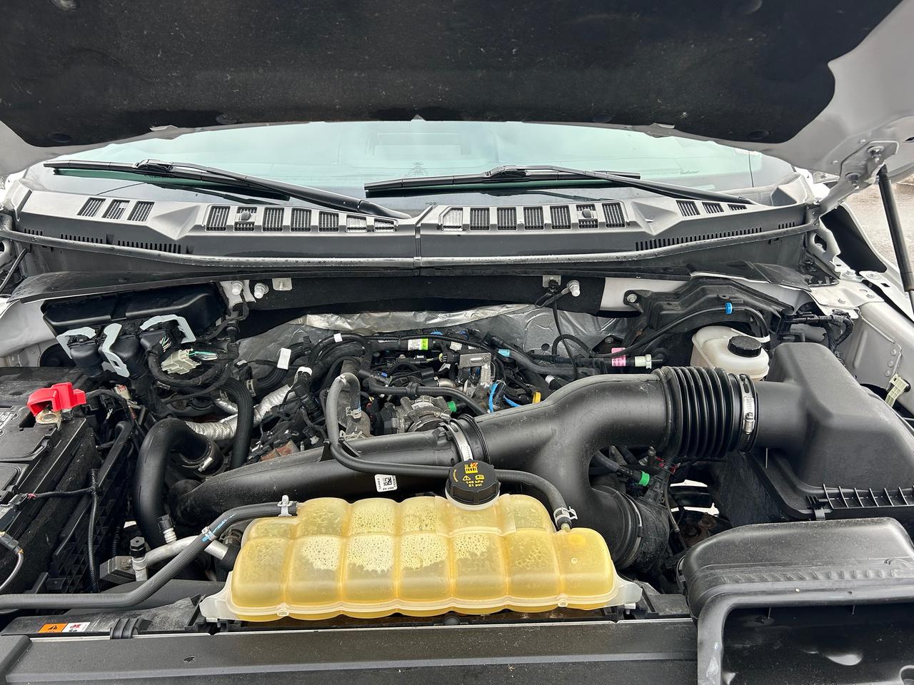 2019 Ford F-150 SPORT Photo