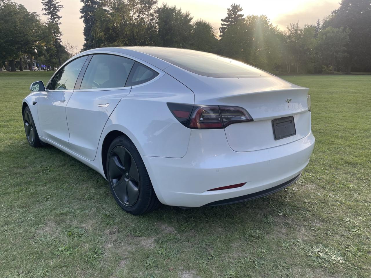 2020 Tesla Model 3 Standard Range Plus *One Owner / Clean Carfax - Photo #4