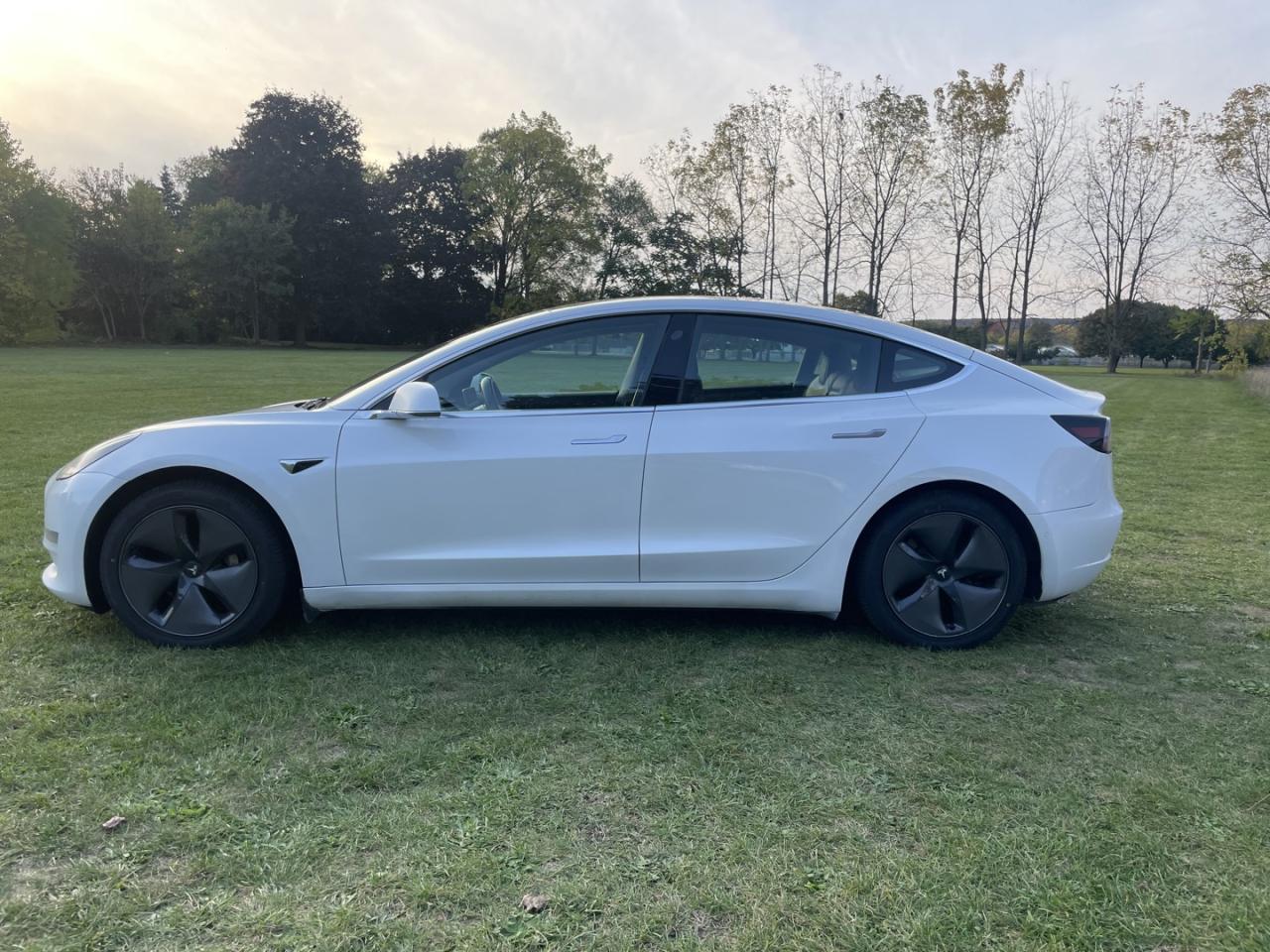 2020 Tesla Model 3 Standard Range Plus *One Owner / Clean Carfax Photo2