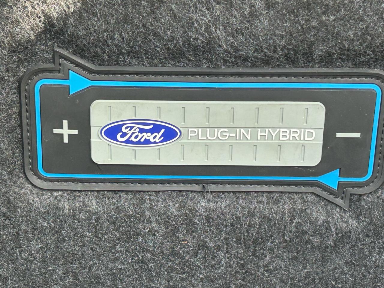 2016 Ford Fusion Energi Titanium - Photo #9