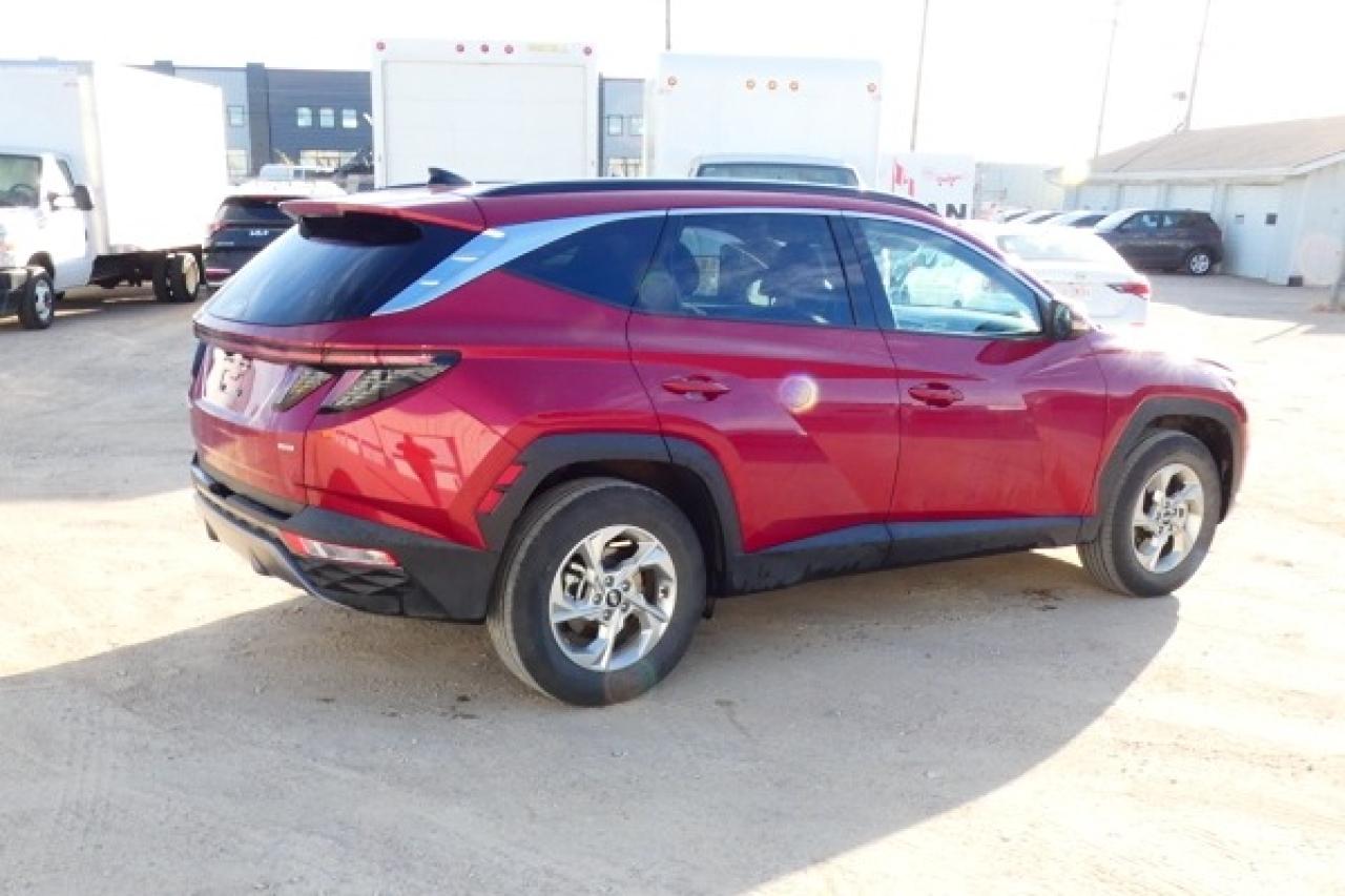 2024 Hyundai Tucson Trend AWD w/Htd Leather, pano S/R, NAV, BUC - Photo #6