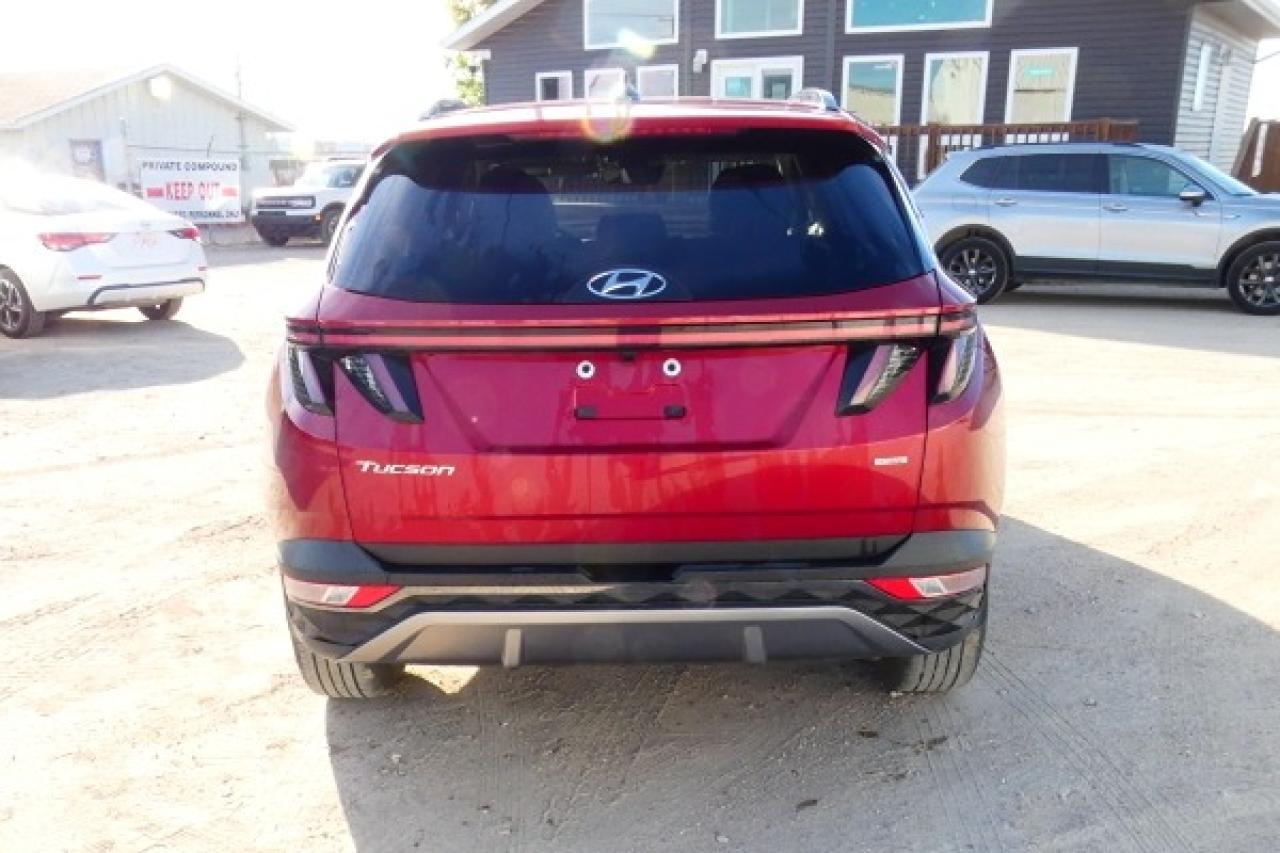 2024 Hyundai Tucson Trend AWD w/Htd Leather, pano S/R, NAV, BUC - Photo #7