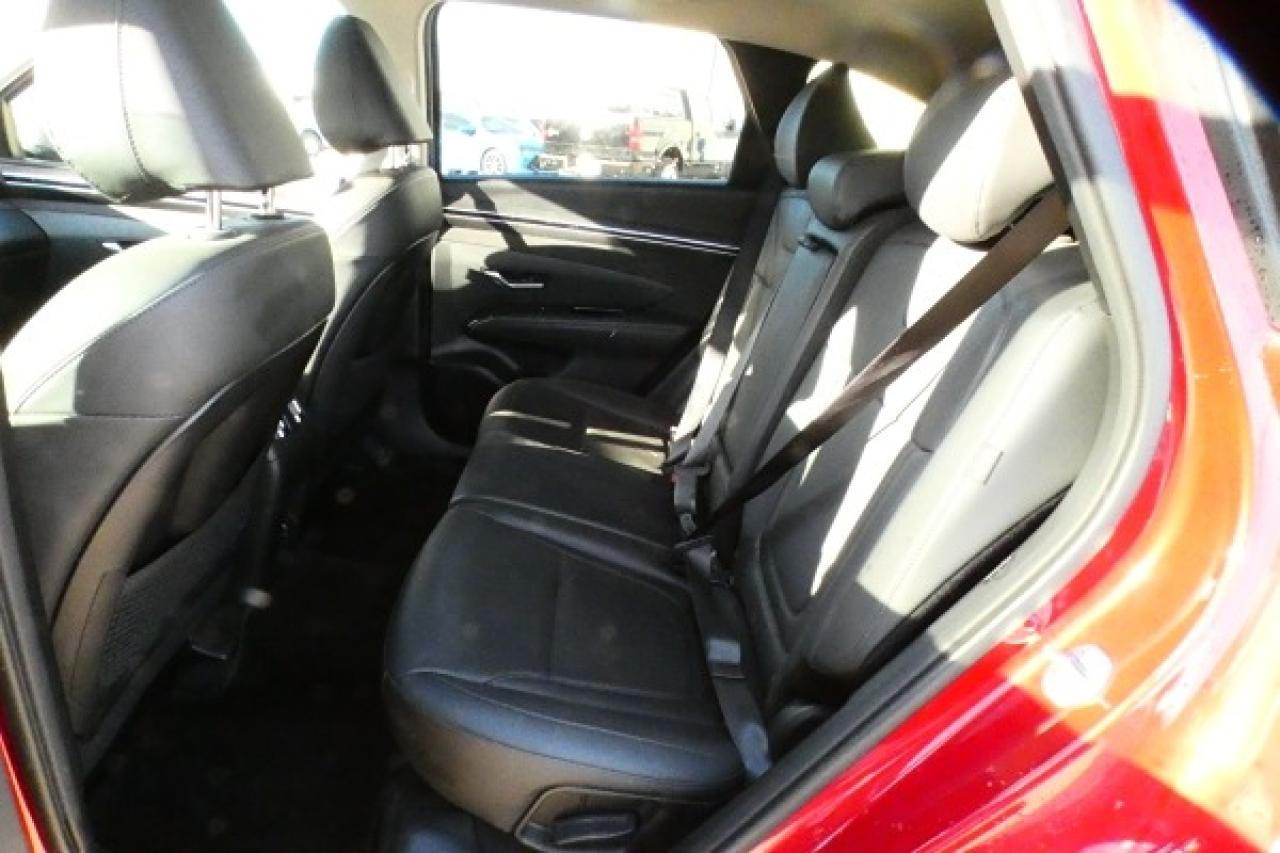 2024 Hyundai Tucson Trend AWD w/Htd Leather, pano S/R, NAV, BUC - Photo #10