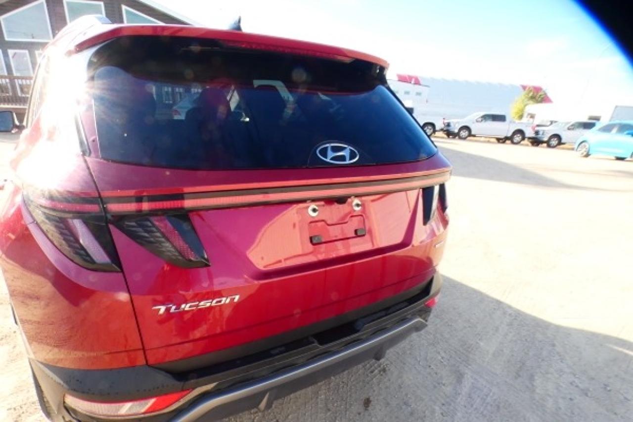 2024 Hyundai Tucson Trend AWD w/Htd Leather, pano S/R, NAV, BUC - Photo #42
