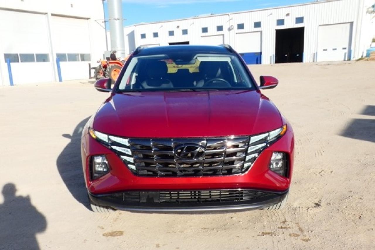 2024 Hyundai Tucson Trend AWD w/Htd Leather, pano S/R, NAV, BUC - Photo #3