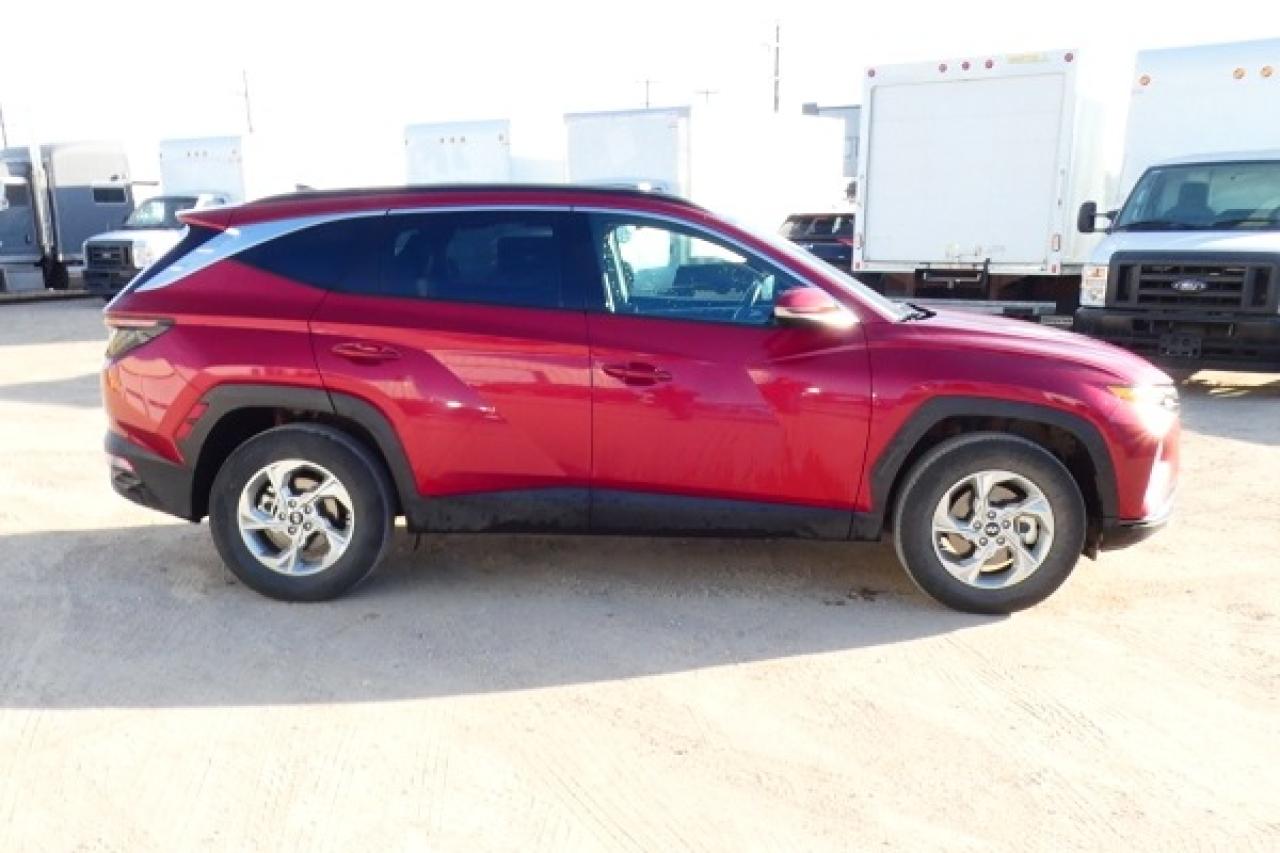 2024 Hyundai Tucson Trend AWD w/Htd Leather, pano S/R, NAV, BUC - Photo #5