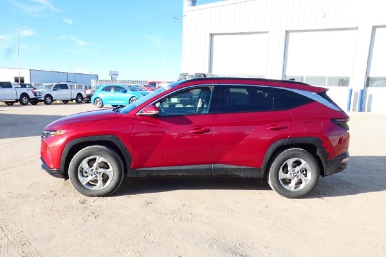 2024 Hyundai Tucson Trend AWD w/Htd Leather, pano S/R, NAV, BUC