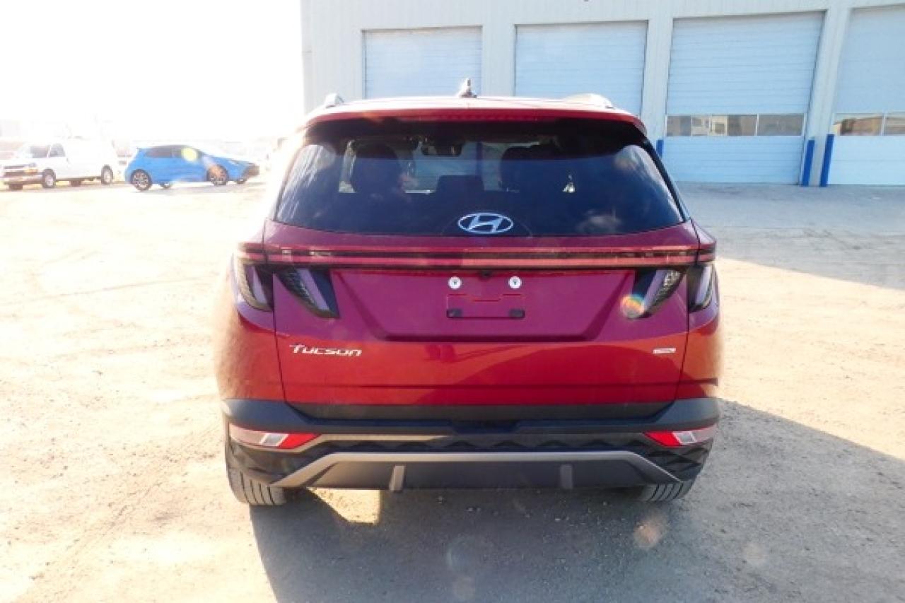 2024 Hyundai Tucson Trend AWD w/Htd Leather, pano S/R, NAV, BUC - Photo #7