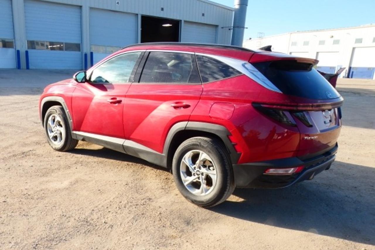 2024 Hyundai Tucson Trend AWD w/Htd Leather, pano S/R, NAV, BUC - Photo #8