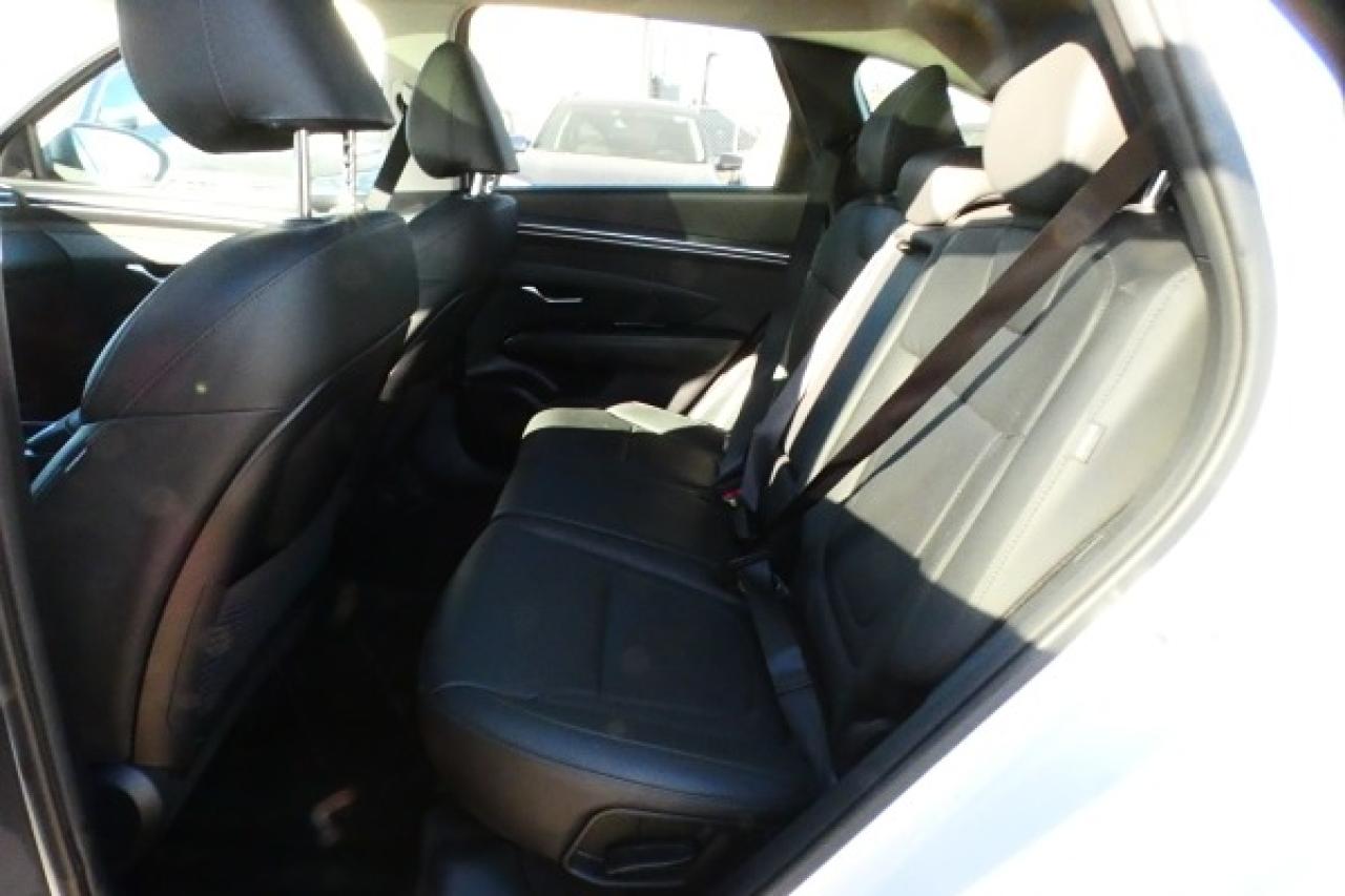 2024 Hyundai Tucson Trend AWD w/Htd Leather, pano S/R, NAV, BUC - Photo #10
