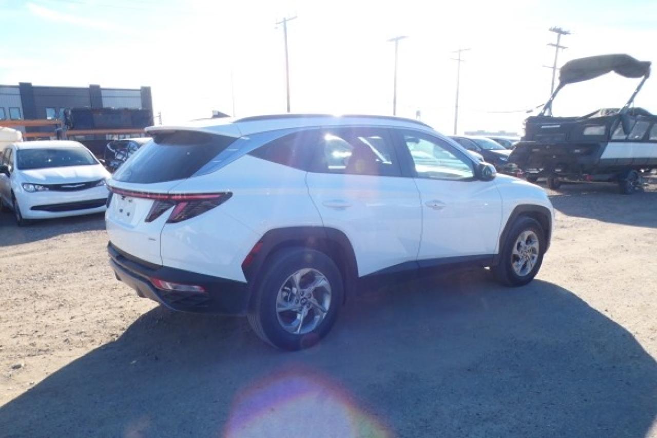 2024 Hyundai Tucson Trend AWD w/Htd Leather, pano S/R, NAV, BUC - Photo #6